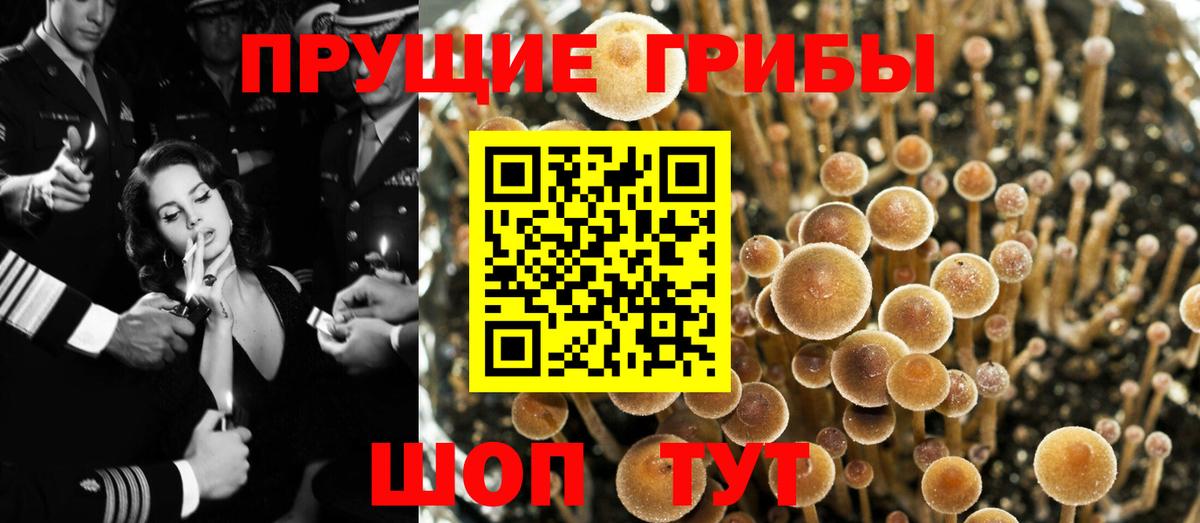 Галлюциногенные грибы GOLDEN TEACHER Сургут