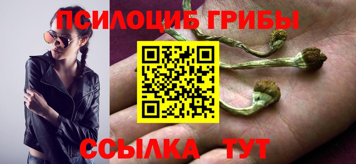 Псилоцибиновые грибы ЛСД  Вход с VPN  Сургут  Псилоцибиновые грибы Psilocybine cubensis 